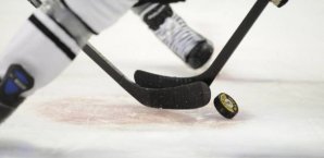 DEL, Eishockey, Lizenz, Schwenningen