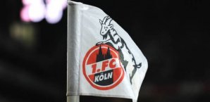 DFB,1. FC Köln,Sandhausen,Strafe