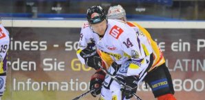 eishockey,del,shvidki