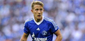 lewis holtby,schalke
