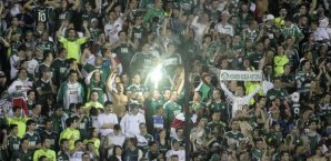 Palmeiras,Fußball,Fans,Feier