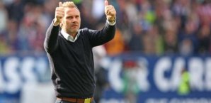 Thorsten Fink,HSV,Bundesliga