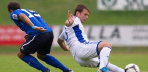 Zvezdan Misimović,HSV,Mittelfeld