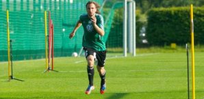 HSV,Petr,jiracek,transfer
