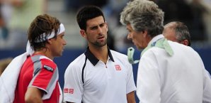 Novak Djokovic, David Ferrer