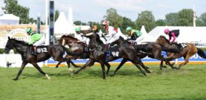 Derby, Galopp, Hamburg