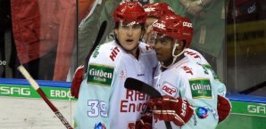 kölner haie, del, eishockey