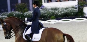 Monica Theodorescu,Dressur