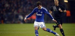 Fuchs,Schalke