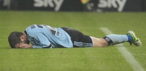 Rafael van der Vaart,HSV,Bundesliga