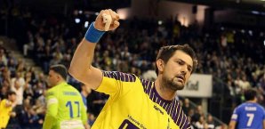 Denis Spoljanic,Füchse