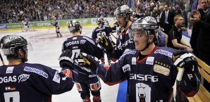 Eisbären, DEL, Wolfsburg