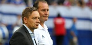 horst,heldt,huub,stevens