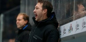 Jeff Tomlinson,Nürnberg Ice Tigers