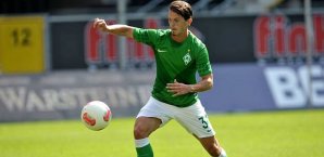Aleksandar Stevanovic, PEC Zwolle, Werder Bremen