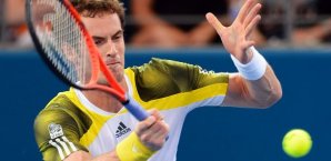 andy,murray,brisbane,international,return