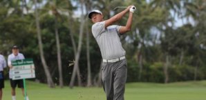 Golf,Hahn,