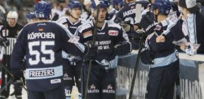 Hamburg Freezers,DEL