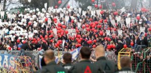 Hansa,fans