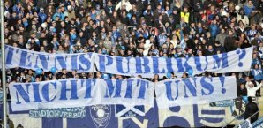 hertha,fans