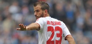 rafael van der vaart, hsv