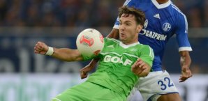 srdjan lakic, vfl wolfsburg