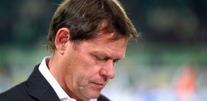 frank arnesen, hsv