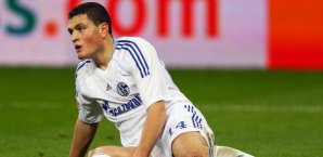 Der FC Liverpool hat offenbar ein offizielles Angebot für Kyriakos Papadopoulos abgegeben Kyriakos Papadopoulos, schalke 04