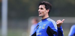 Paul Scharner, Hamburger SV, HSV