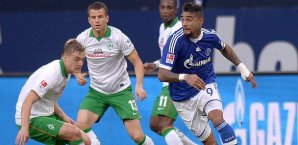 Kevin-Prince Boateng drehte das Spiel für Schalke Schalke 04, Werder Bremen, Bundesliga