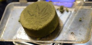 Spürhunde entdeckten das Marihuana Marihuana