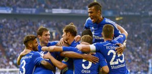 Die Schaker bejubeln ihren Sieg gegen Mainz Schalke 04