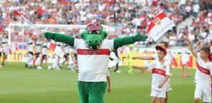 Der VfB Stuttgart stoppt die Überflieger von Eintracht Braunschweig VfB Stuttgart