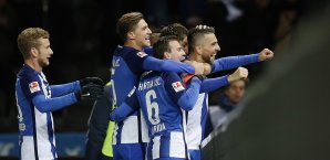 Vedad Ibisevic traf gegen Mainz gleich doppelt Vedad Ibisevic