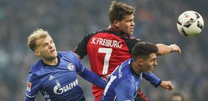 Schalke und Freiburg trennten sich Remis Schalke, Freiburg