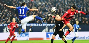 In einer umkämpften Partie trafen die Leverkusener spät Schalke, Leverkusen