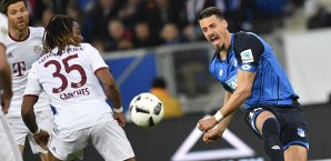 Die TSG Hoffenheim kann dank des überraschenden Sieges gegen den FC Bayern Platz drei behaupten FC Bayern, TSG Hoffenheim