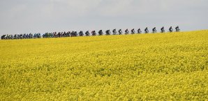 Heftige Dopingvorwürfe gegen den Radsport der DDR Radsport, DDR, Doping