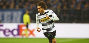 Fabian Johnson
