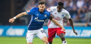 Schalke kämpfte fürs europäische Geschäft Schalke 04, Hamburger SV