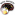 Winti Panthers Logo