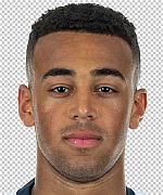 Tyler Adams